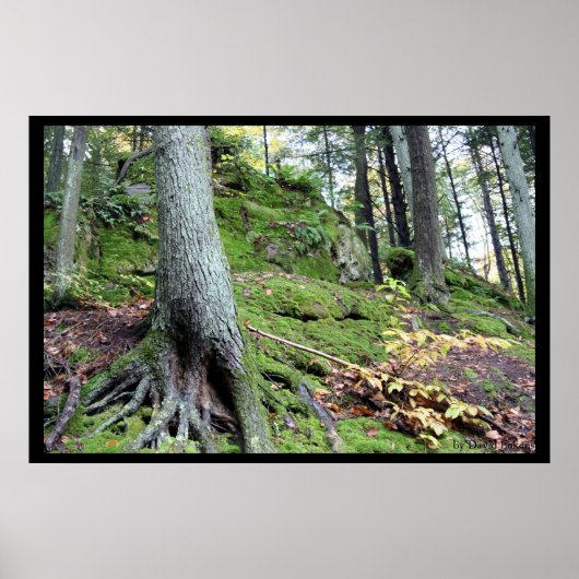 Oude Man Cave Ridge #1 Poster (Voorkant)