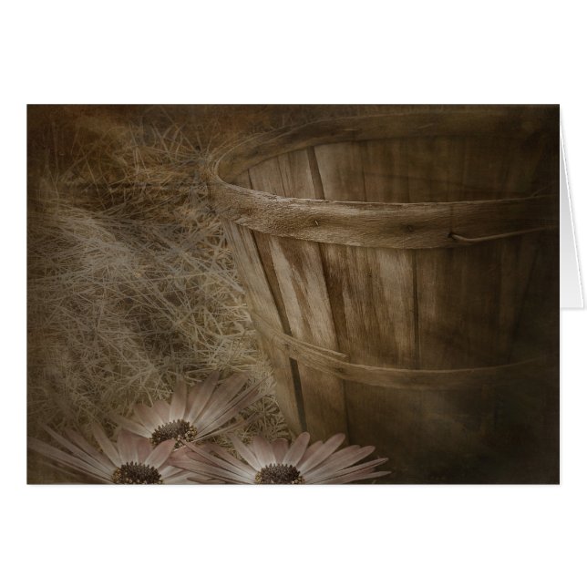 Oude mandje (Voorkant Horizontaal)