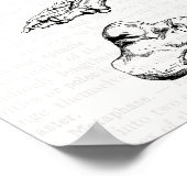 Oude medische kunst Menselijke anatomie Botten van Poster (Hoek)