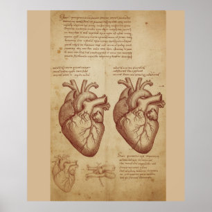 Oude Menselijke Hart Anatomie Wetenschappelijke St Poster