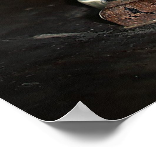 Oude microscoop poster (Hoek)