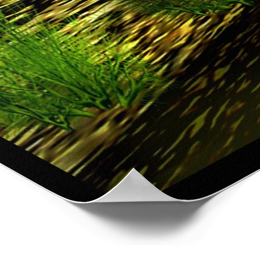 oude moeras poster (Hoek)