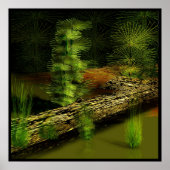 oude moeras poster (Voorkant)