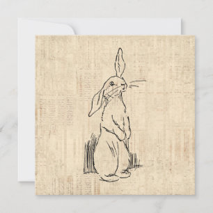 Oude Mopige Konijn Konijn Kunst Script Achtergrond Kaart