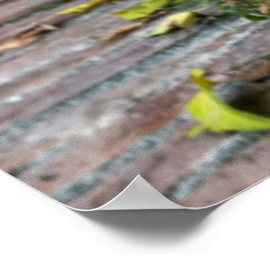 oude muur poster (Hoek)