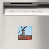 Oude Nederlandse windmolen Magneet (Insitu (Vaatwasser))