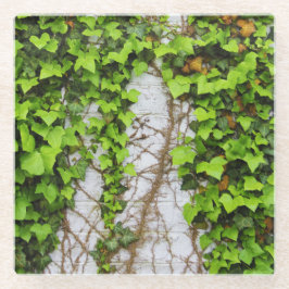 Oude & nieuwe groei glazen onderzetter