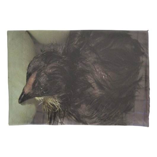 Oude notulen kussensloop (Voorkant)