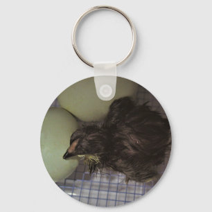 Oude notulen sleutelhanger