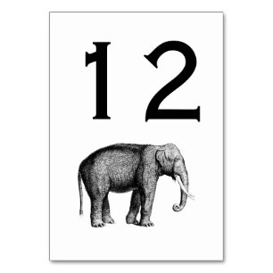 Oude Olifant Tekening Kaart