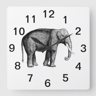Oude Olifant Tekening Vierkante Klok