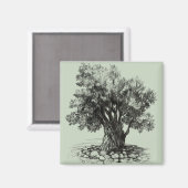 Oude olijfboom magneet (Voorkant / Achterkant)