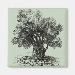 Oude olijfboom magneet