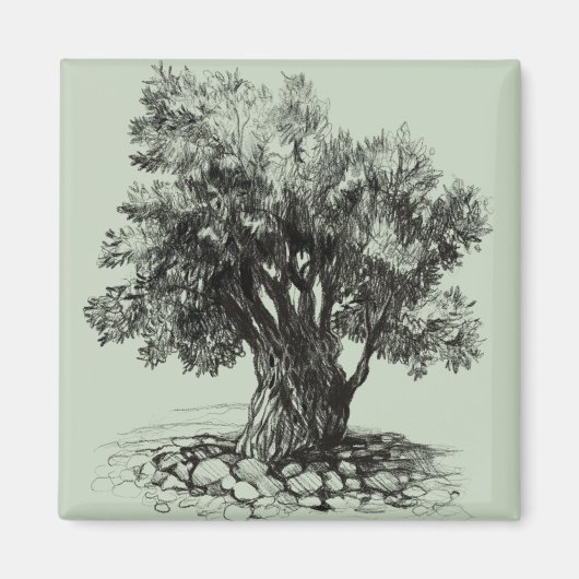 Oude olijfboom magneet (Voorkant)