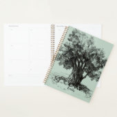 Oude olijfboom planner (Display)