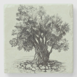 Oude olijfboom stenen onderzetter