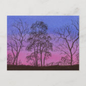 Oude omheining briefkaart (Voorkant)