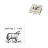 Oude Ooien Boerderij Dieren Tekening C Koppel Rubberstempel (Gestempeld)