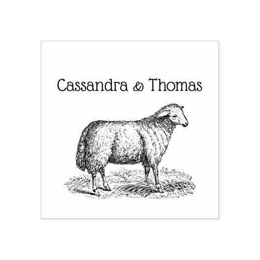 Oude Ooien Boerderij Dieren Tekening C Koppel Rubberstempel (Afrduk)