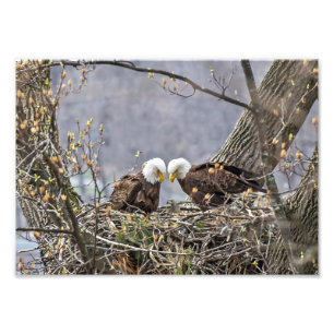 Oude ouders foto afdruk