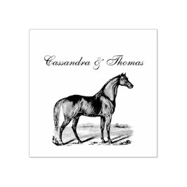 Oude Paard Staand Rubberstempel
