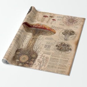 Oude Paddenstoel Botanische Grafiek (2) Cadeaupapier