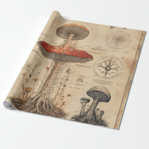 Oude Paddenstoel Botanische Grafiek (8) Cadeaupapier