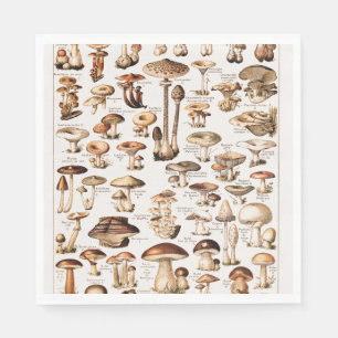 Oude paddenstoelen door Adolphe Millot Servet