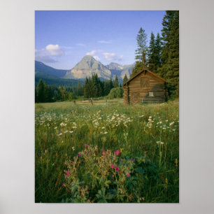 Oude Park Service-hut in de Cut Bank-vallei Poster