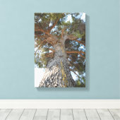 Oude pine canvas afdruk (Insitu (Houten vloer))