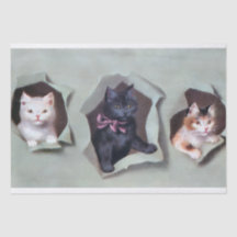 Oude poesjes die door cadeaupapier breken schattig