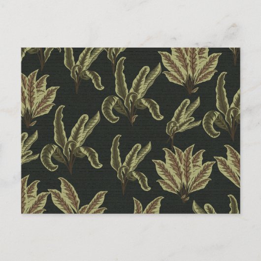 Oude Potplanten Briefkaart (Voorkant)