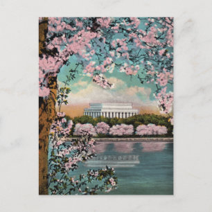 Oude prentkaart met kersenbloesems in Washington D Briefkaart