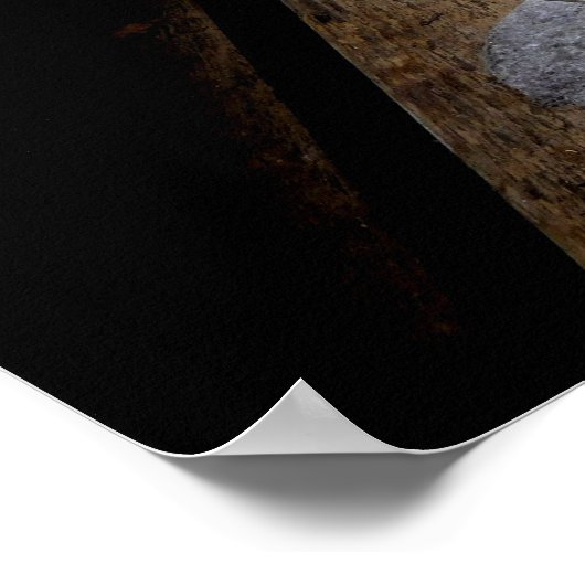 Oude punt (2) poster (Hoek)