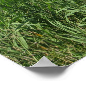 Oude reddingspost Buiten de Banken NC Poster (Hoek)