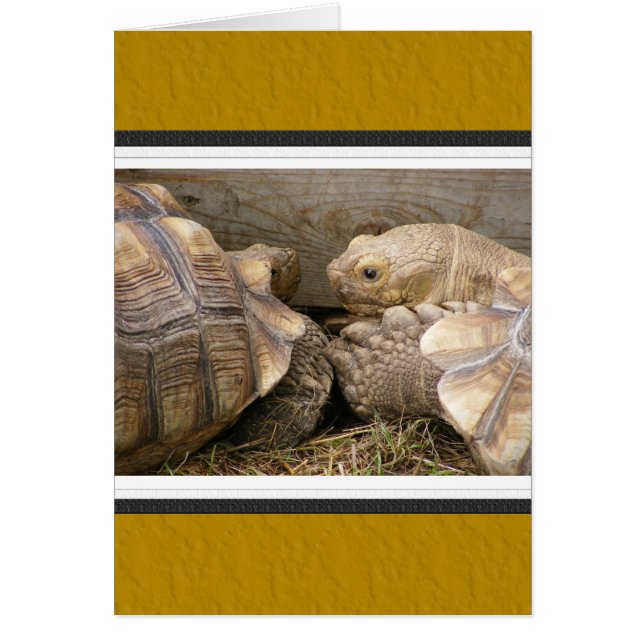 Oude roddels (Voorkant)