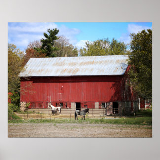 Oude Rode Barn met Paarden Kleur 16x20 Poster