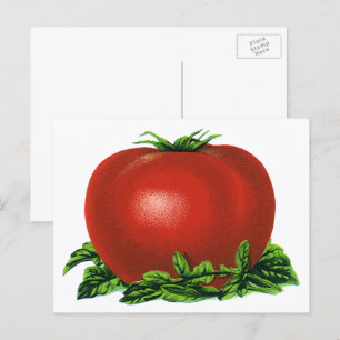 Oude rode rijpe tomaat, groenten en fruit briefkaart