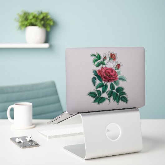 Oude rode roos sticker (Laptop op bureau)
