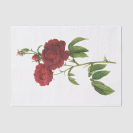 Oude Rode Rozen #1 Bloemen Bloemig Tissuepapier