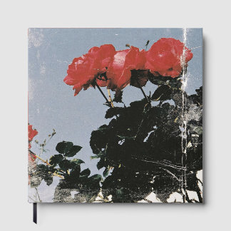 Oude rode rozen tegen een blauwe lucht gastenboek
