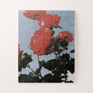 Oude rode rozen tegen een blauwe lucht legpuzzel
