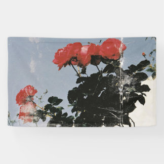 Oude rode rozen tegen een blauwe lucht spandoek