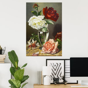 Oude rode witte roze rozen in glazen vaas Kunst Poster