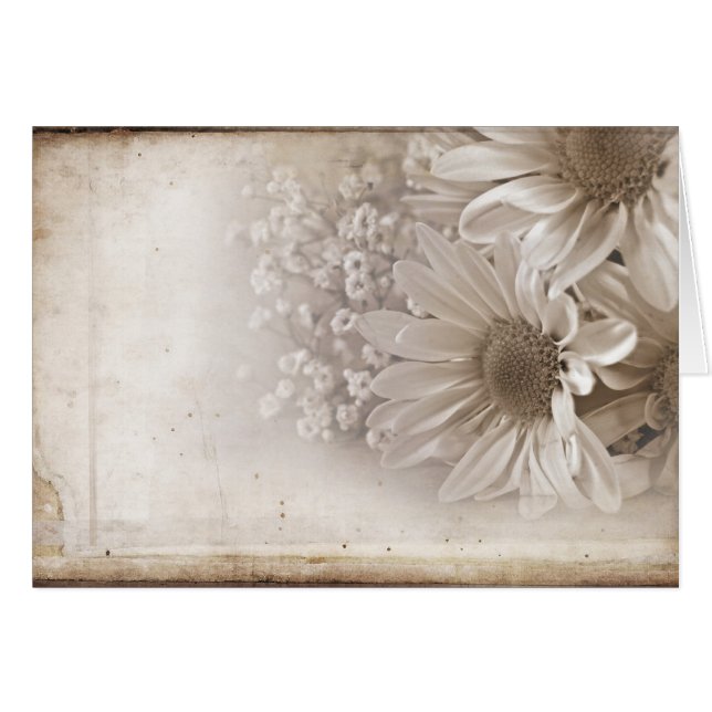 Oude Romance (Voorkant Horizontaal)