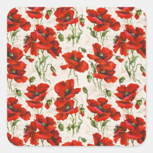 Oude Rood Klaproos Bloempatroon Botanische Kunst Vierkante Sticker