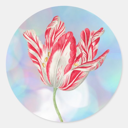 Oude Rood Tulpen Stickers (Voorkant)