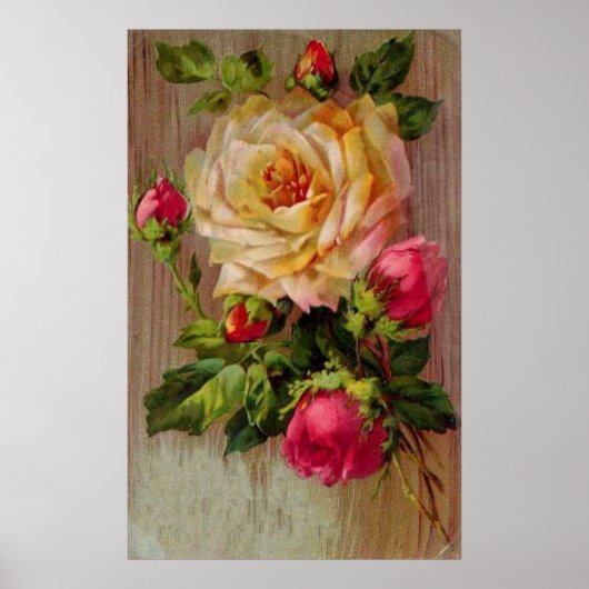 Oude Roosprint Poster (Voorkant)