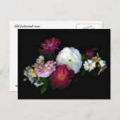 Oude rozen briefkaart (Voorkant / Achterkant)