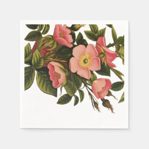 Oude Rozen Mooie Roze Botanisch Servet